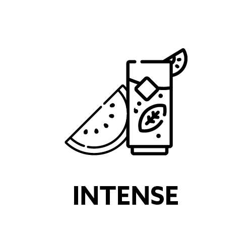 Intense Watermelon Mojito